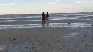 Horseriding